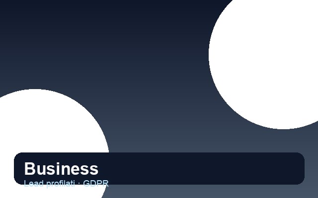 Lead Business